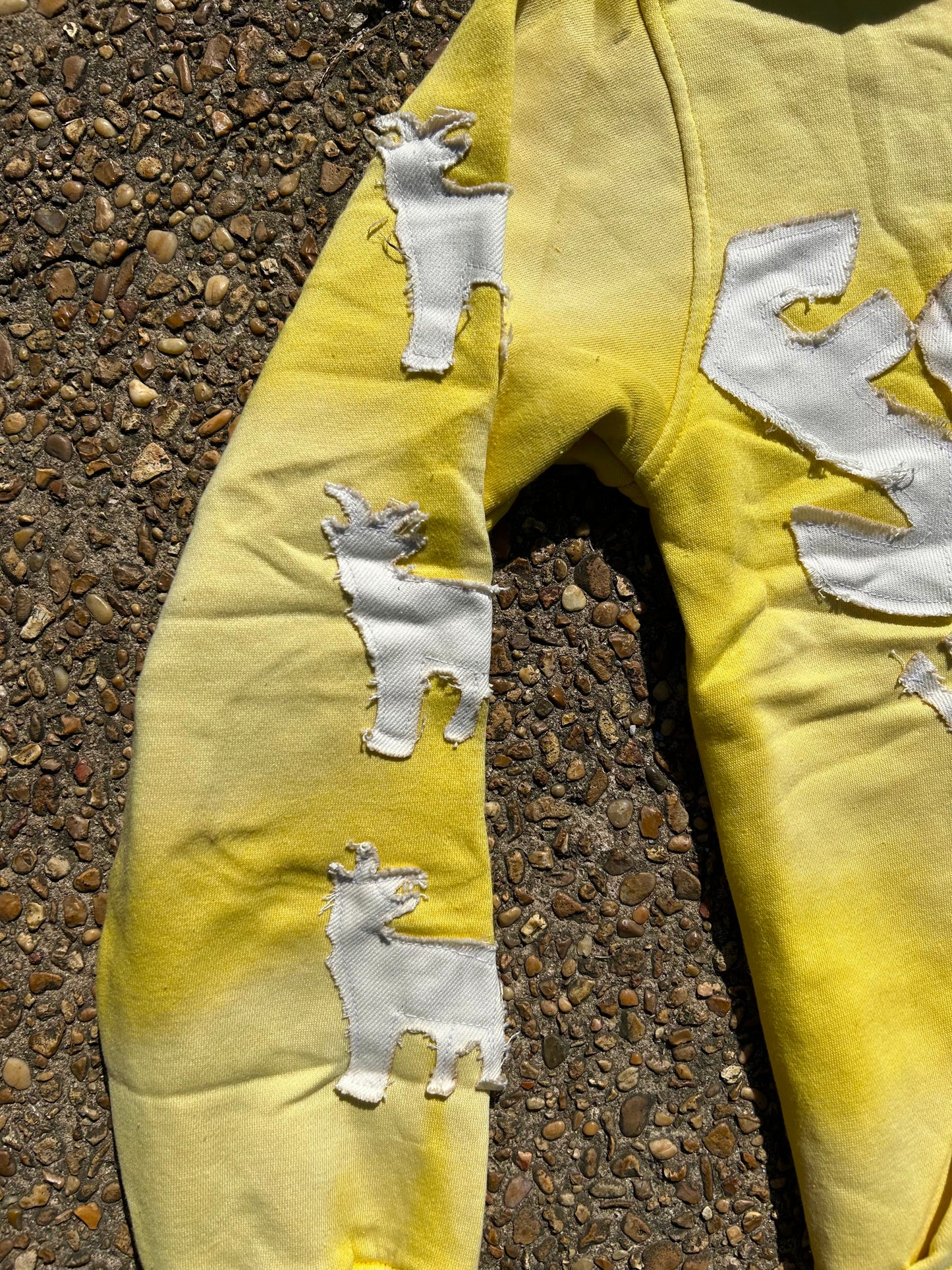 Finesse University “Yellow” Zip-Up