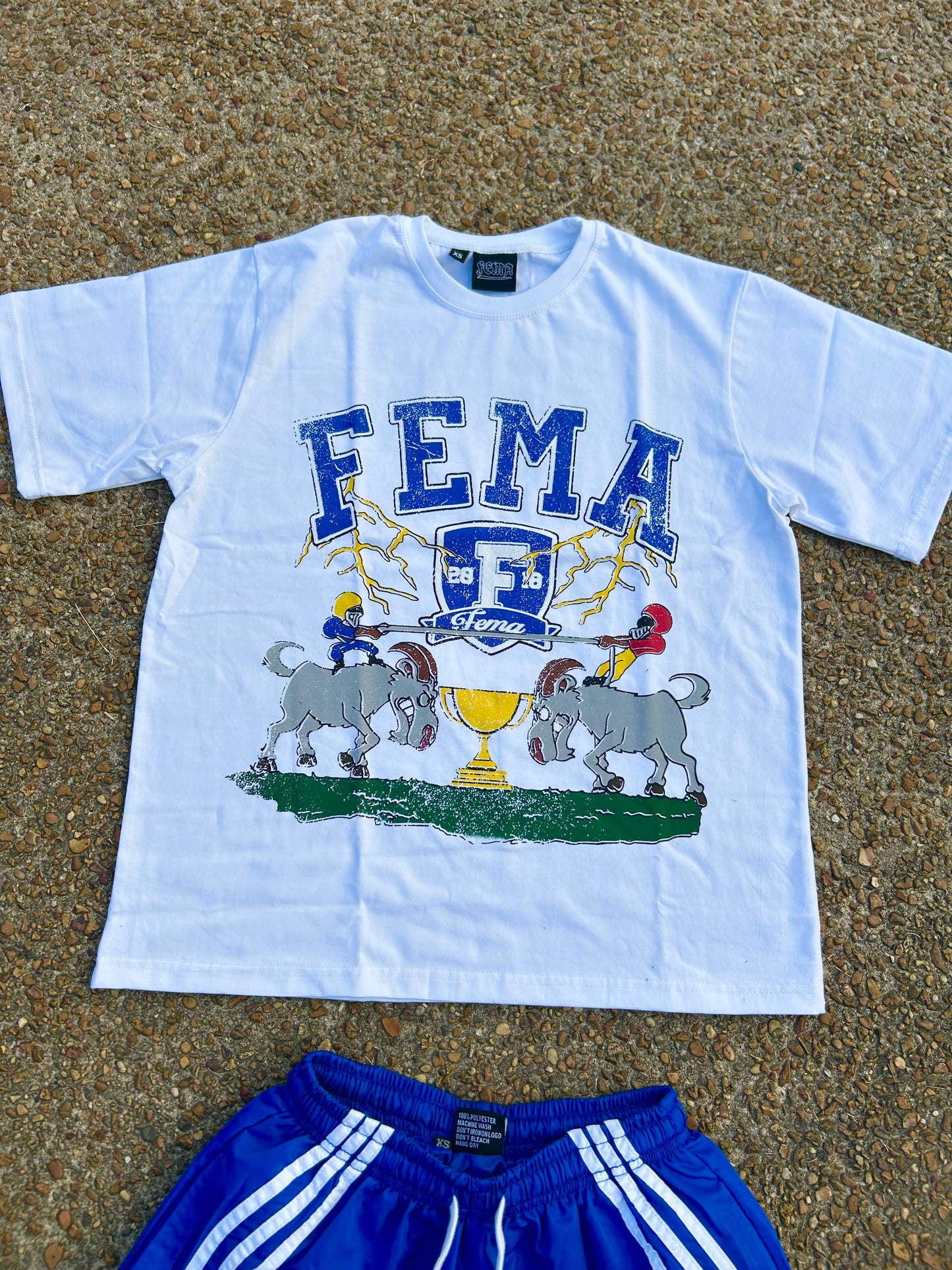 FEMA Trophy Set Royal Blue