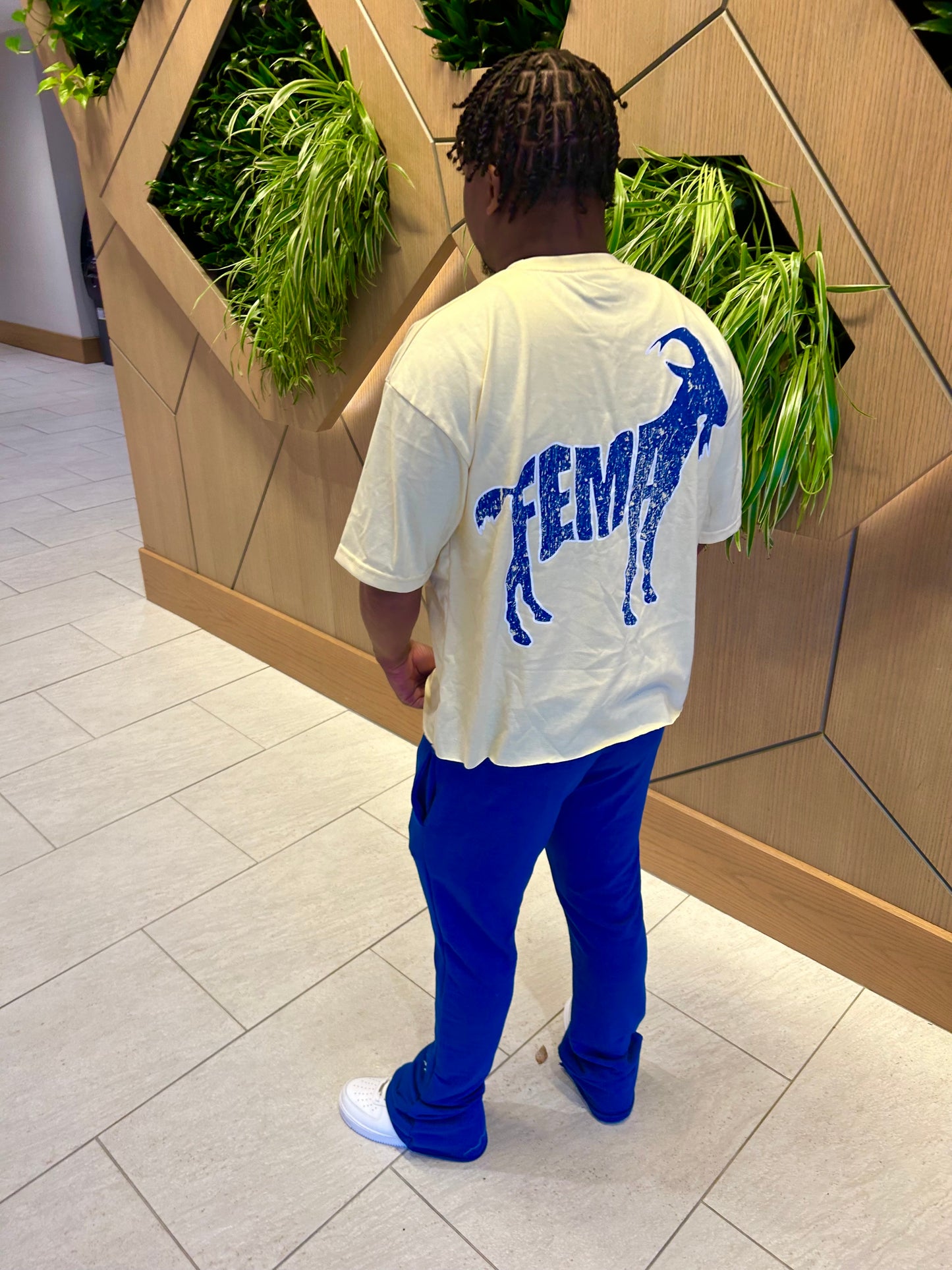 “Make America Finesse Again” Set- Cream/Blue