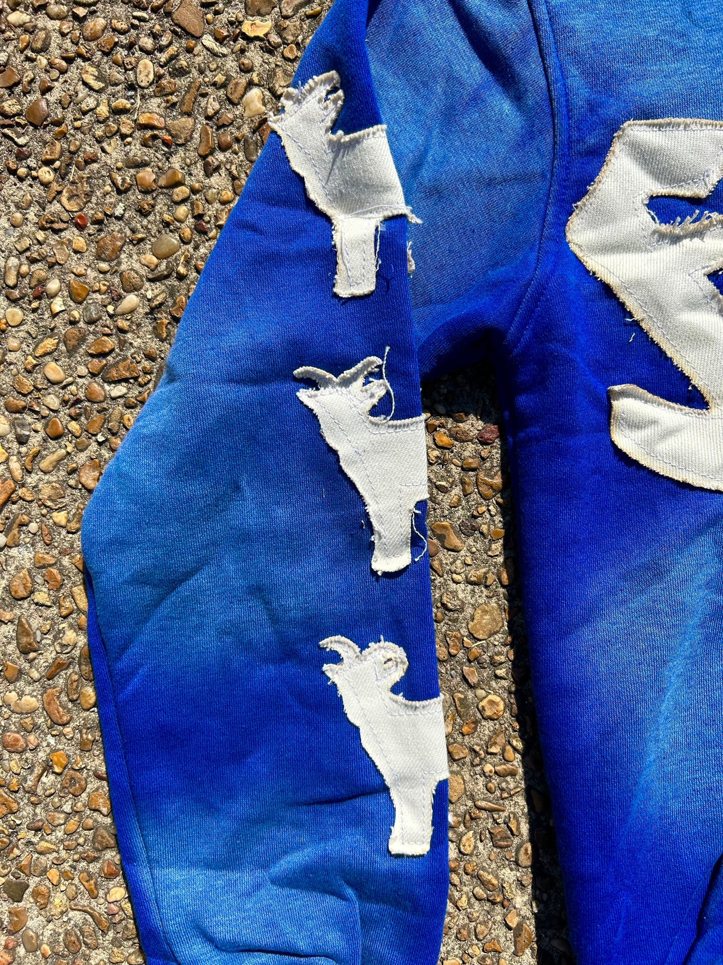 Finesse University “Blue” Zip-Up