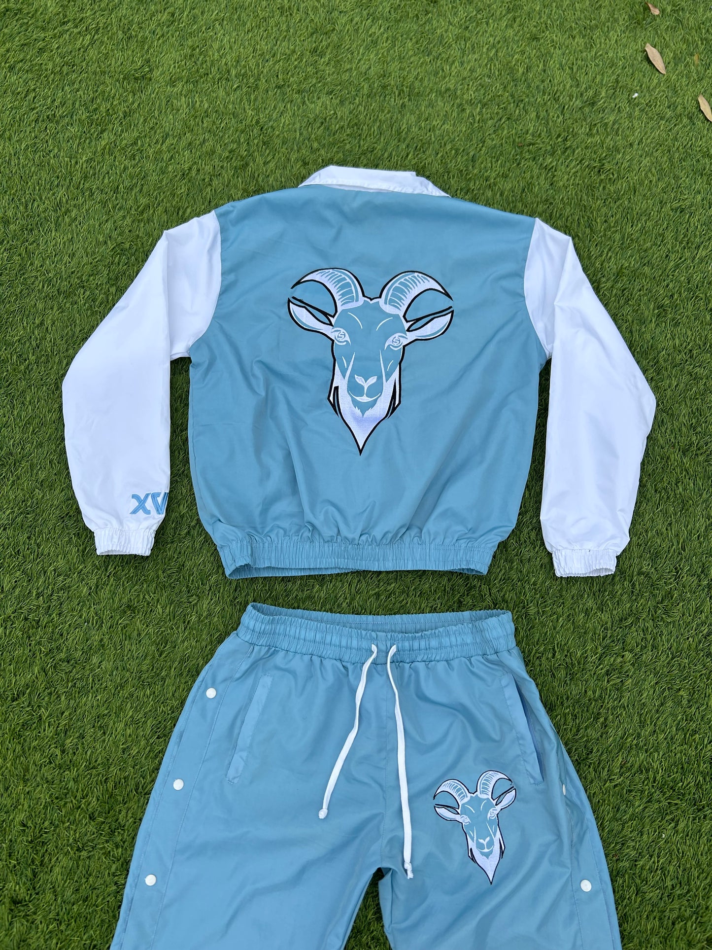“Finesse The World” Baby Blue Windbreaker Set