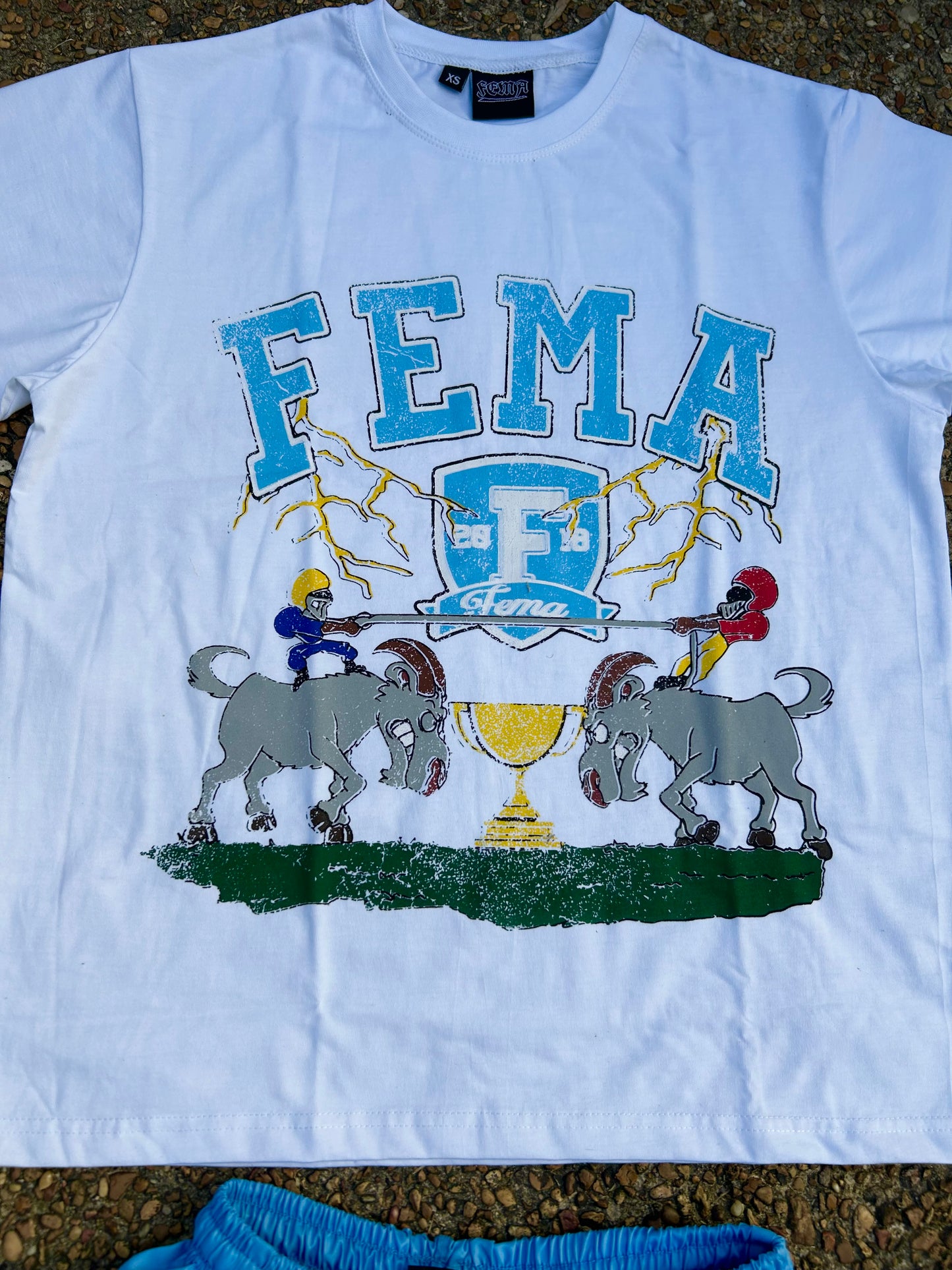 FEMA Trophy Set Powder Blue