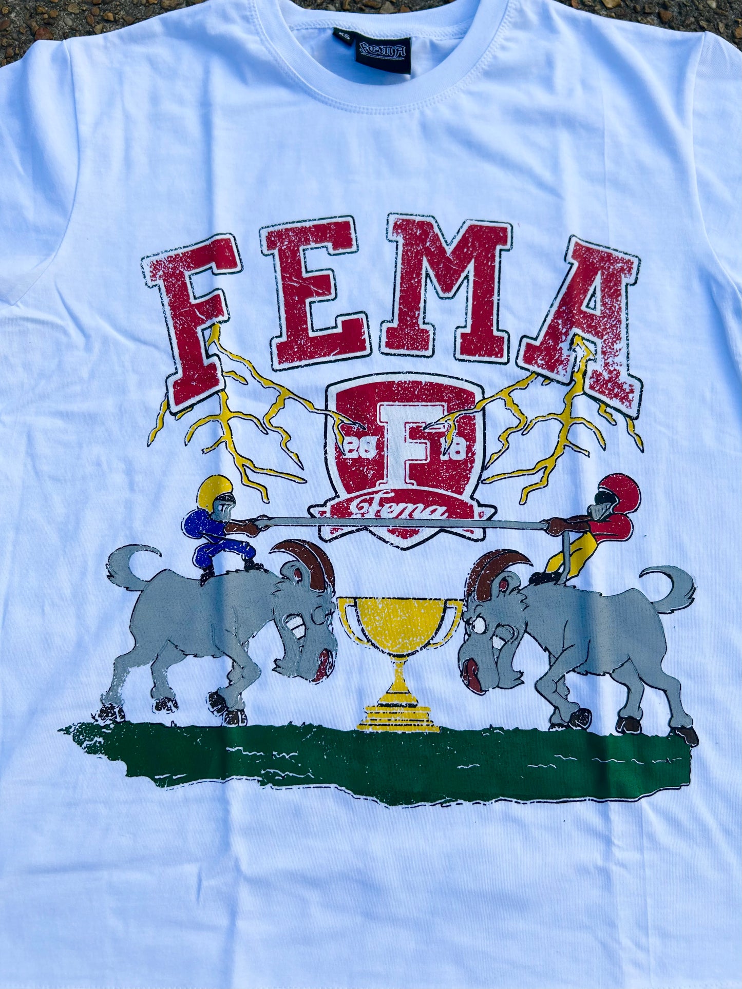 FEMA Trophy Set Red