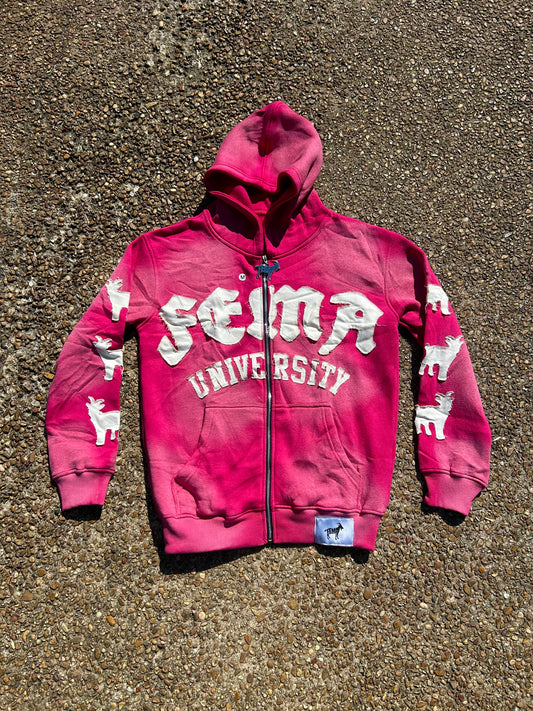 Finesse University “Pink” Zip-Up