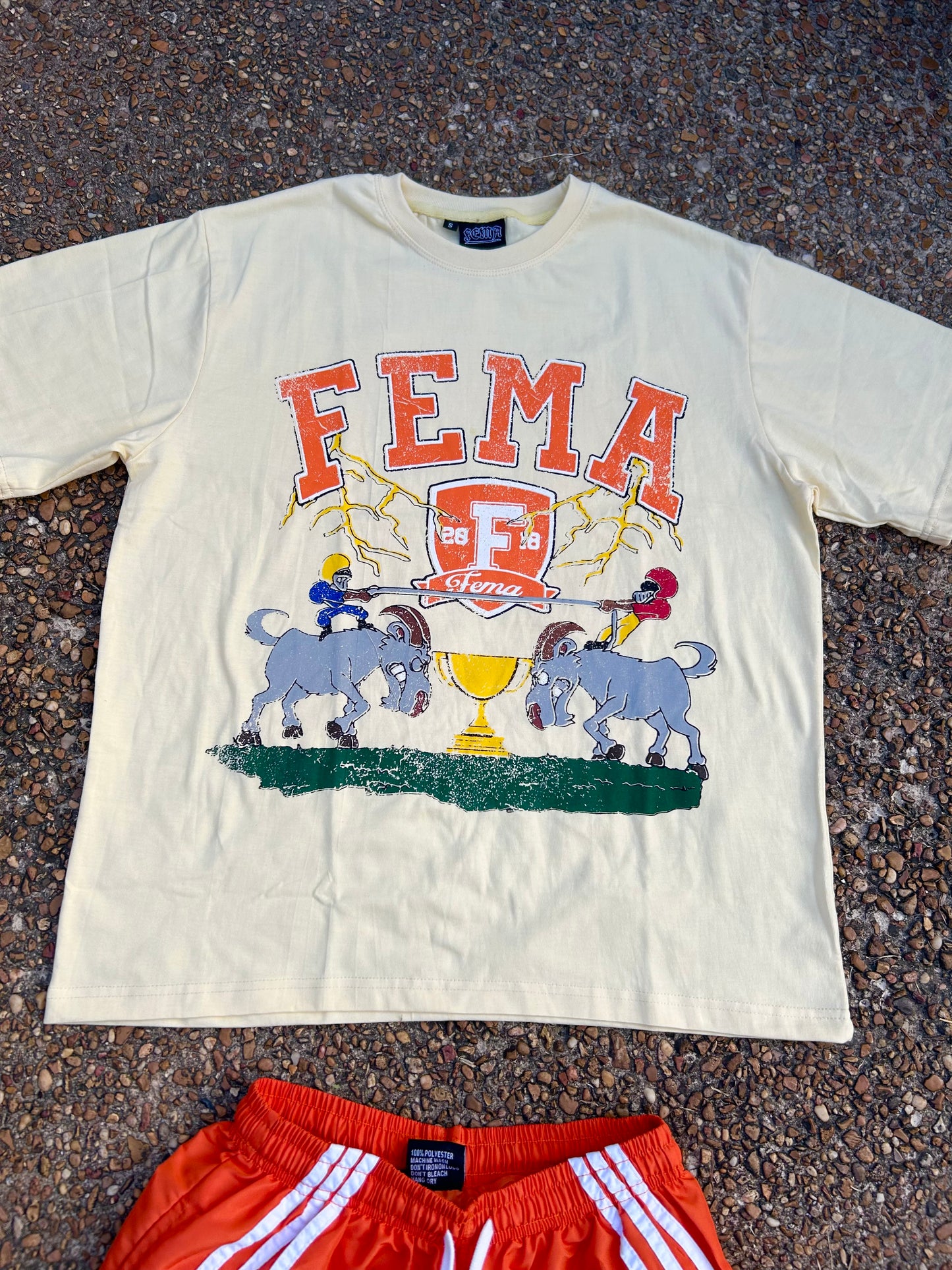 FEMA Trophy Set Orange