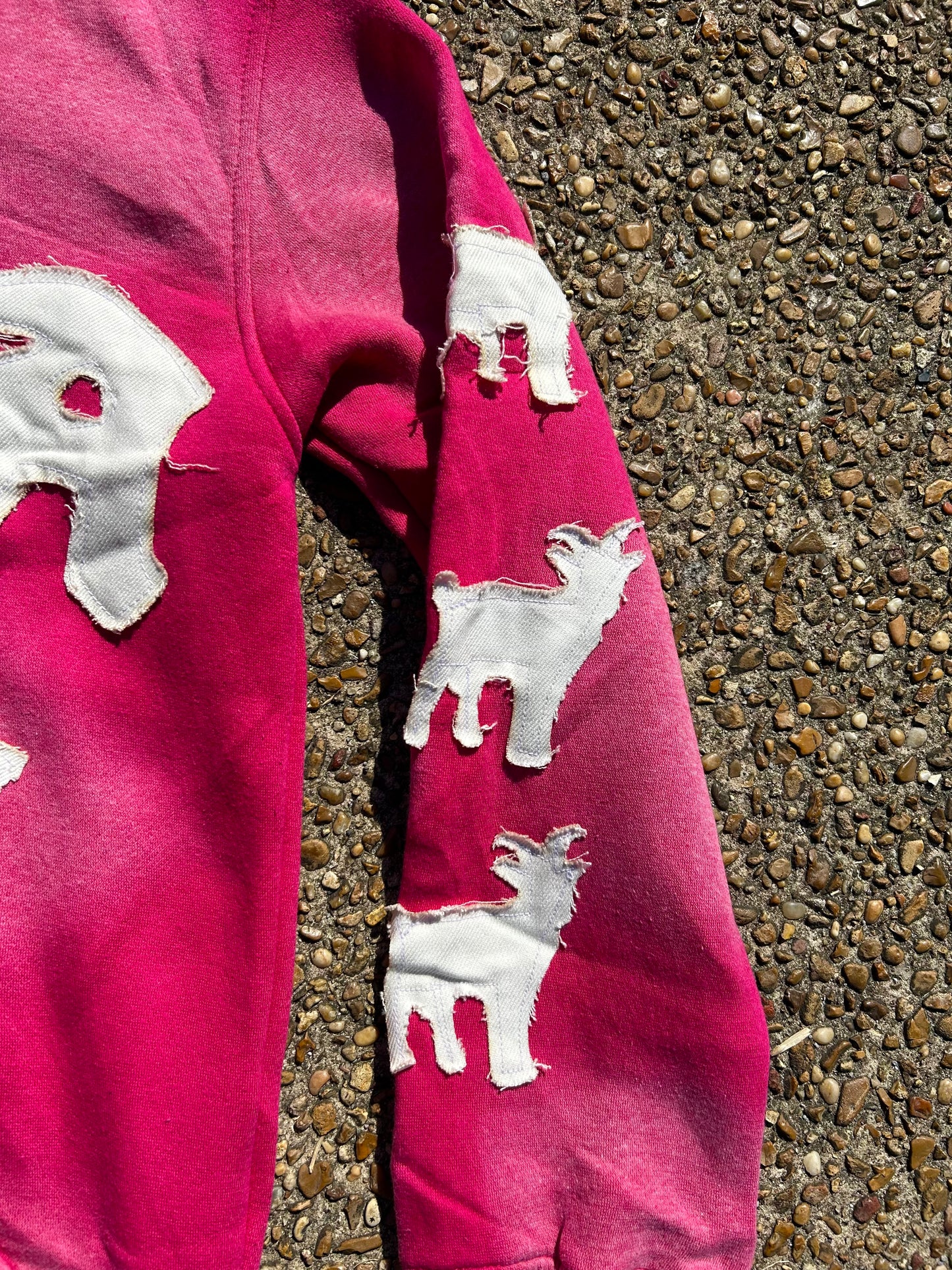 Finesse University “Pink” Zip-Up